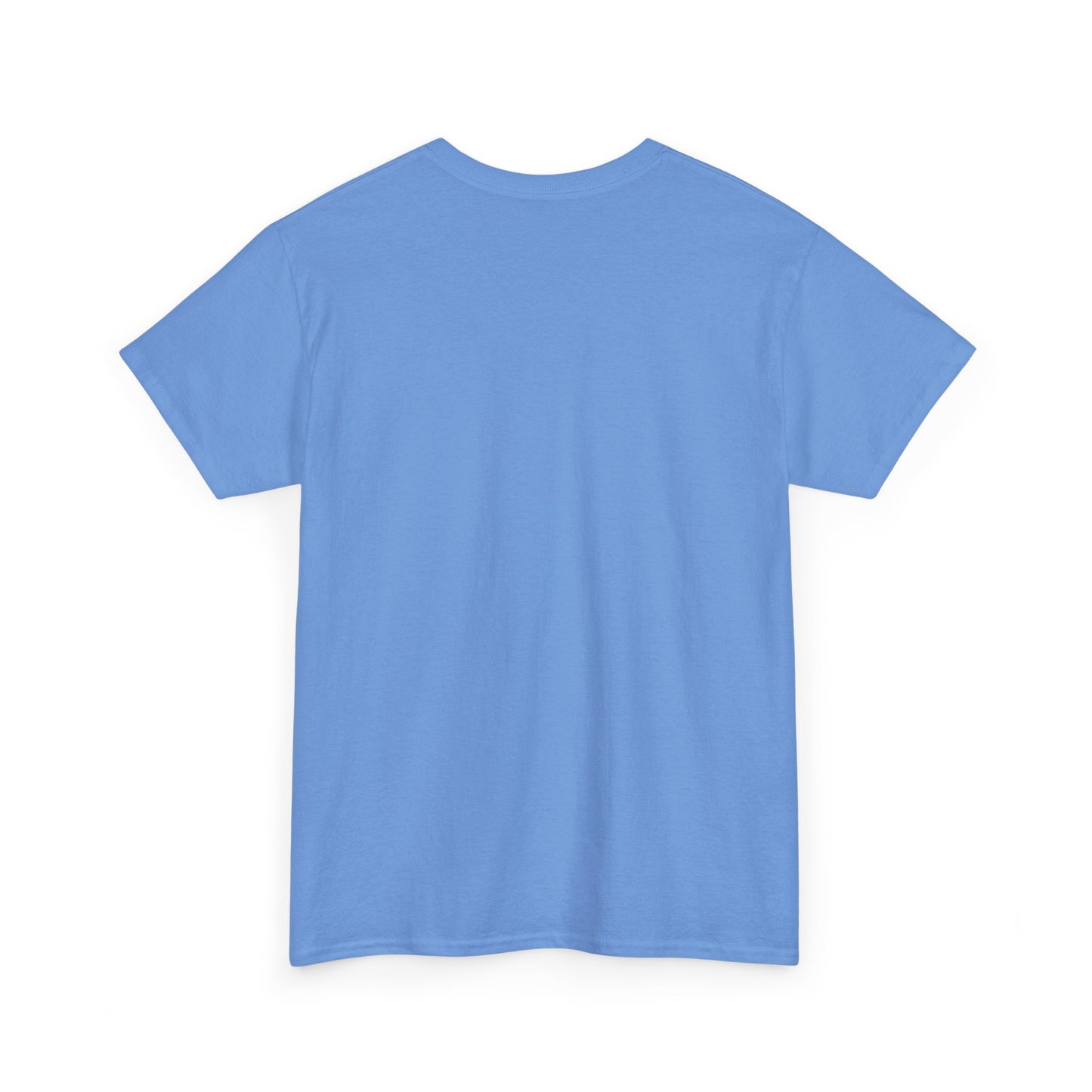 Corporate Survival Tee – This Meeting Could’ve Been an Email