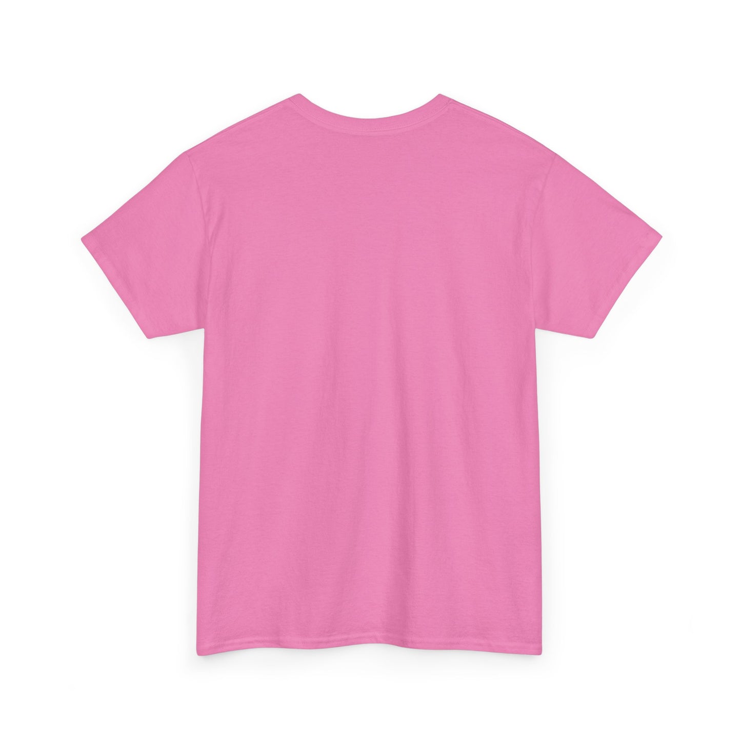 Corporate Survival Tee – This Meeting Could’ve Been an Email